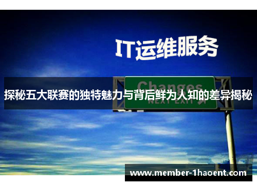 探秘五大联赛的独特魅力与背后鲜为人知的差异揭秘