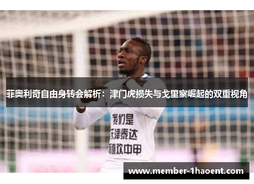 菲奥利奇自由身转会解析：津门虎损失与戈里察崛起的双重视角