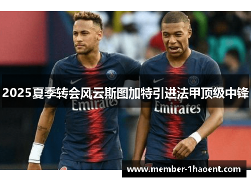 2025夏季转会风云斯图加特引进法甲顶级中锋